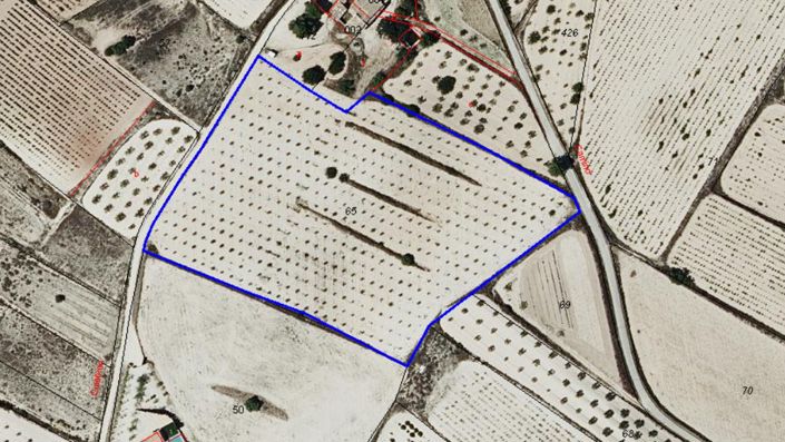 Image No.6-Terre à vendre à Pinoso