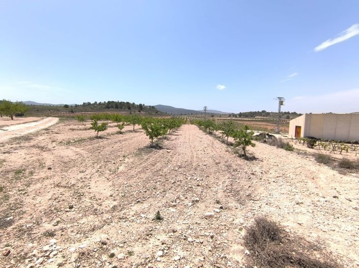 Image No.2-Land for sale