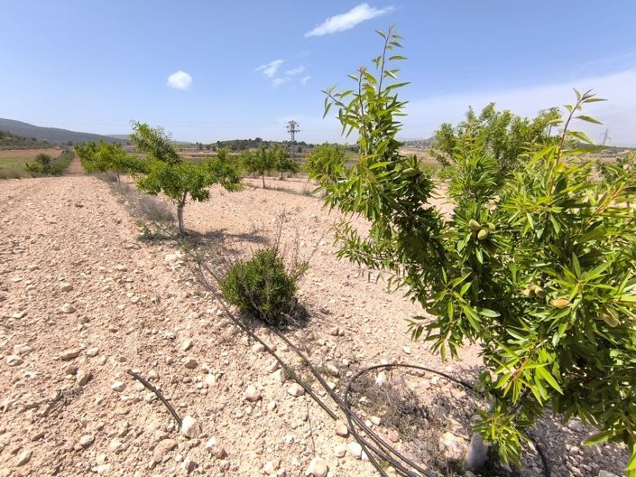 Image No.4-Land for sale