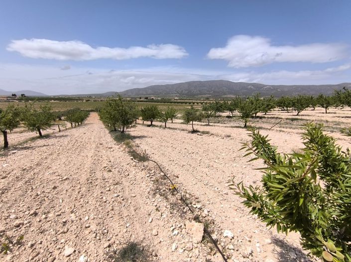 Image No.2-Land for sale