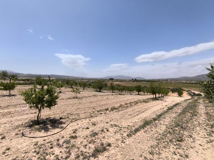 Image No.4-Land for sale