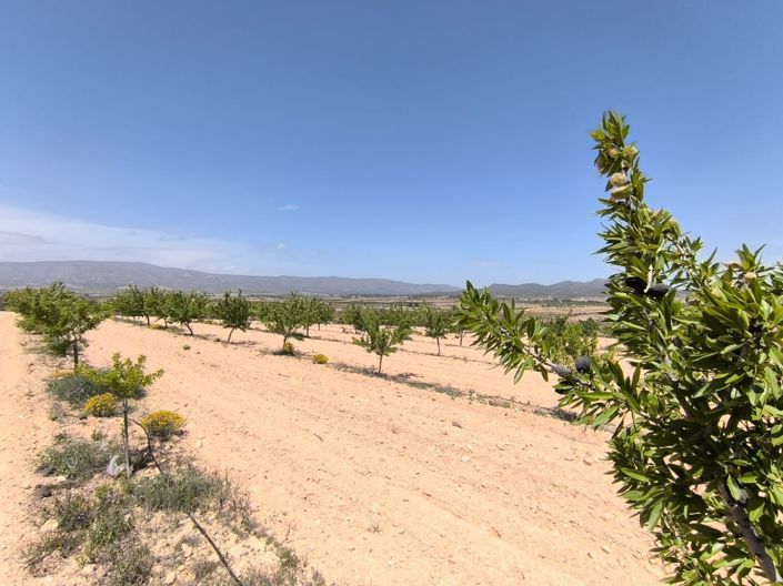 Image No.2-Land for sale