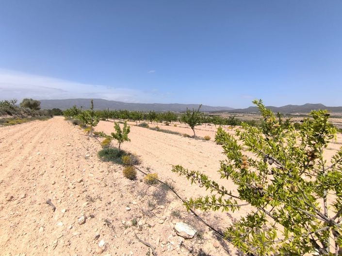 Image No.3-Land for sale