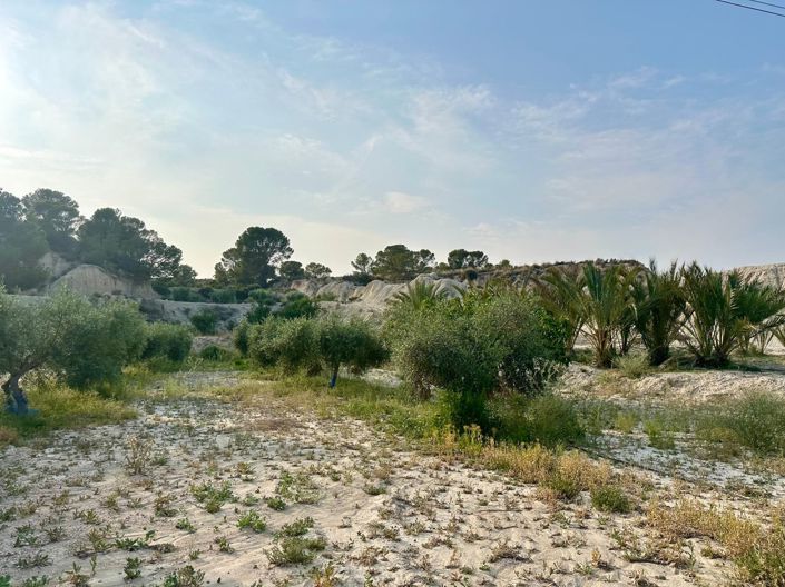 Image No.20-Maison de 5 chambres à vendre à Abanilla