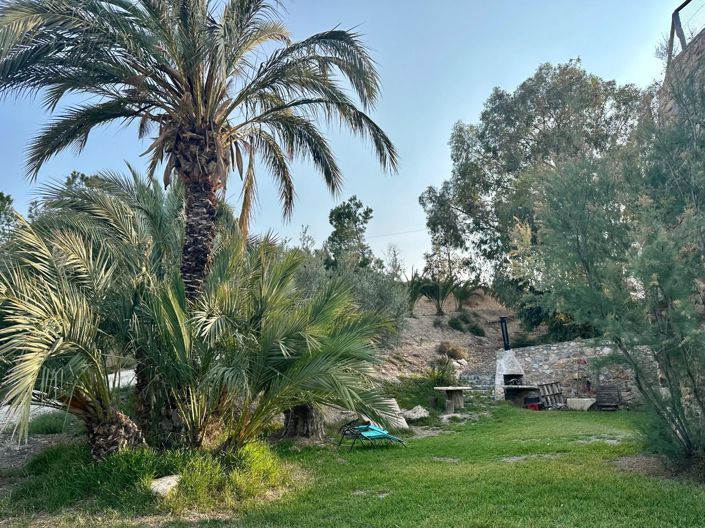 Image No.27-Maison de 5 chambres à vendre à Abanilla