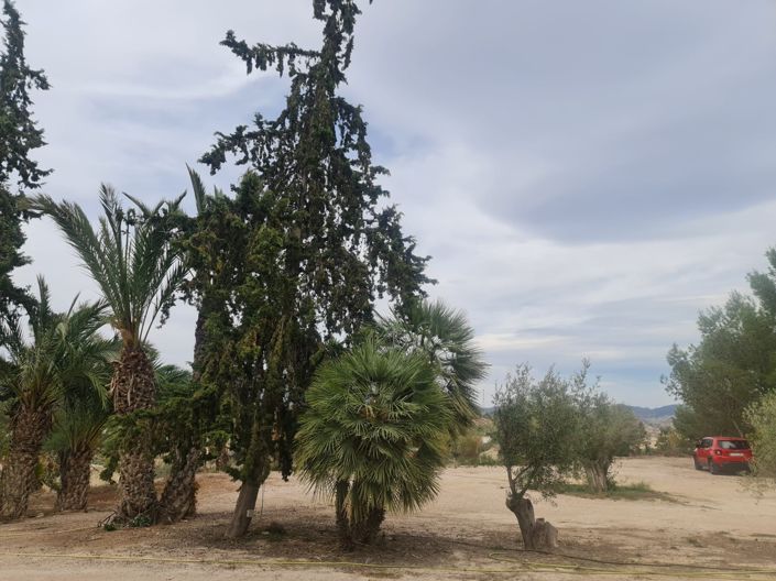 Image No.49-Maison de 5 chambres à vendre à Abanilla