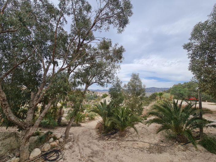 Image No.50-Maison de 5 chambres à vendre à Abanilla