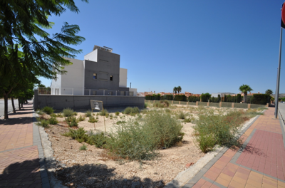 Stratus International most sold property