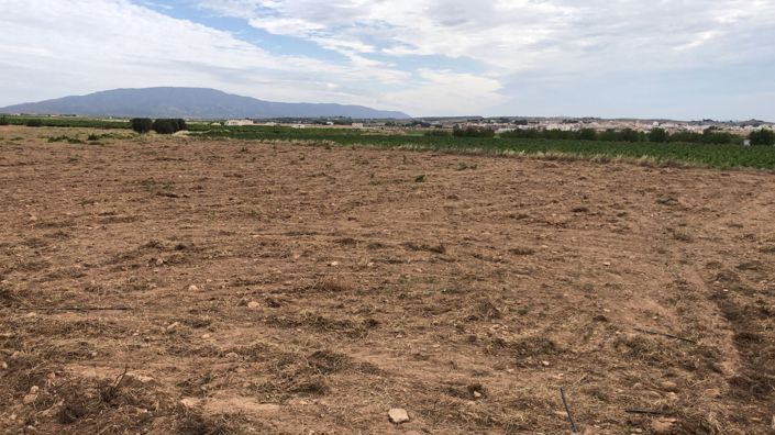 Image No.16-Propriété de 3 chambres à vendre à Pinoso