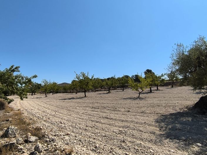 Image No.10-Land for sale