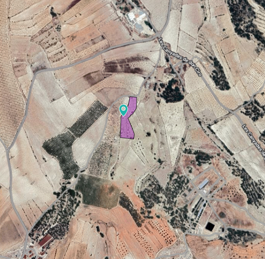 Image No.12-Land for sale
