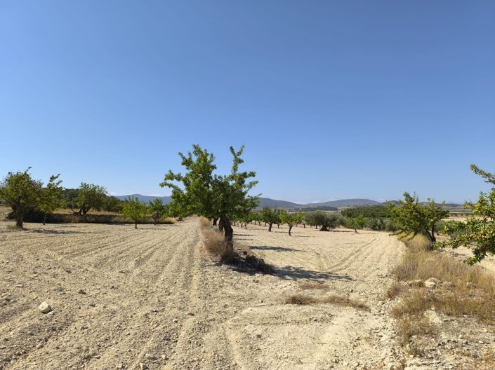Image No.6-Land for sale