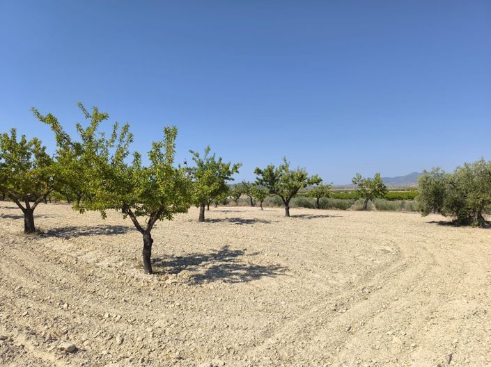 Image No.7-Land for sale