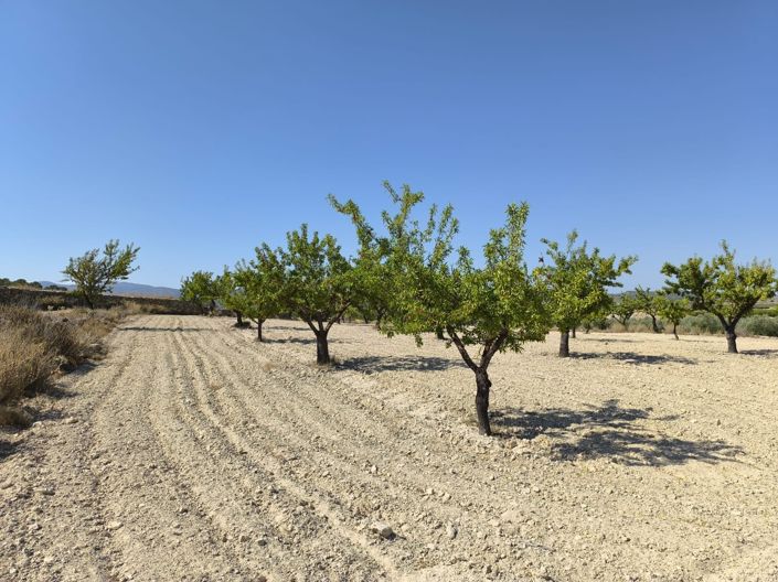 Image No.9-Land for sale