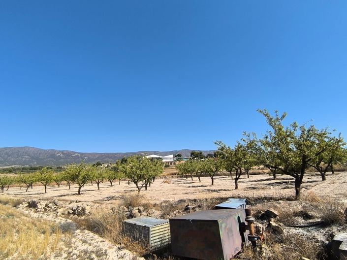 Image No.3-Terre à vendre à Monóvar
