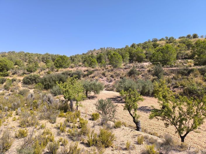 Image No.1-Land for sale