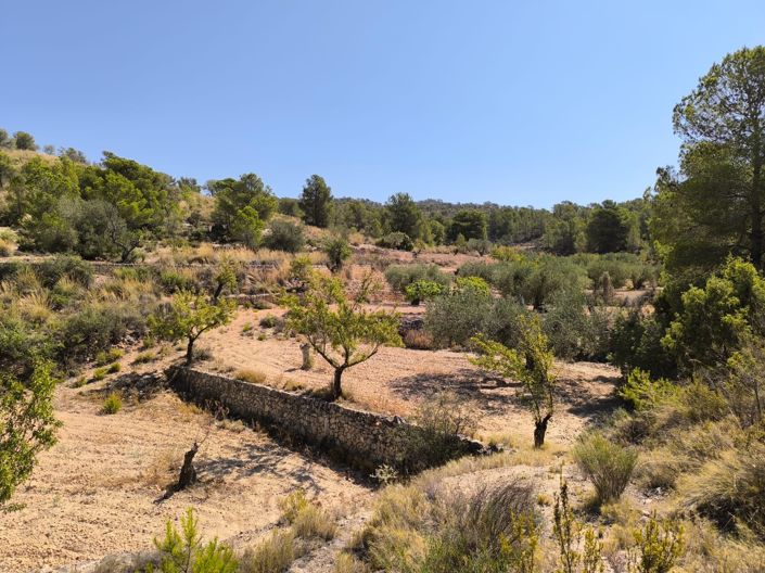 Image No.2-Land for sale