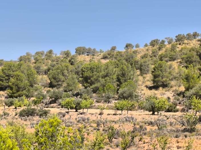 Image No.2-Land for sale