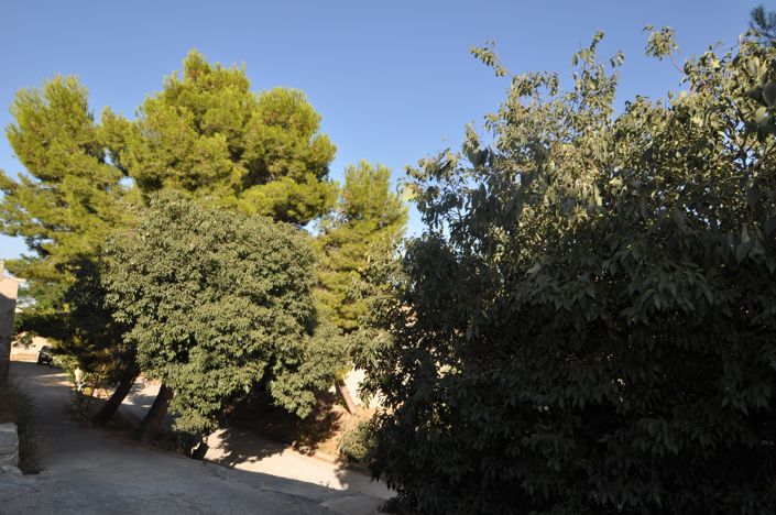 Image No.33-4 Bed Village House for sale