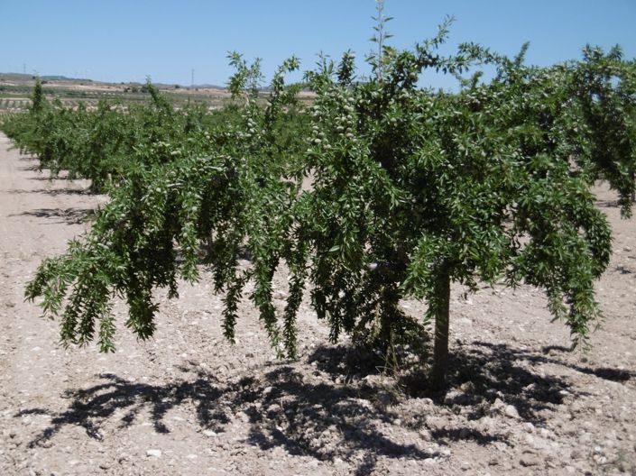 Image No.10-Land for sale