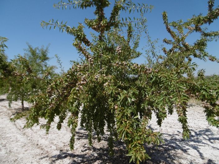 Image No.12-Land for sale