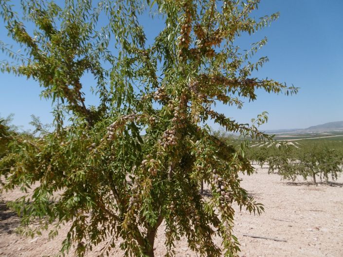 Image No.13-Land for sale