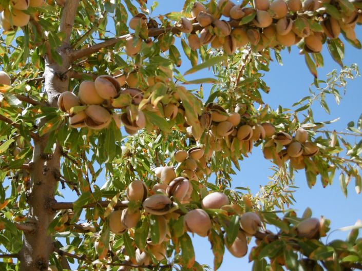 Image No.14-Land for sale