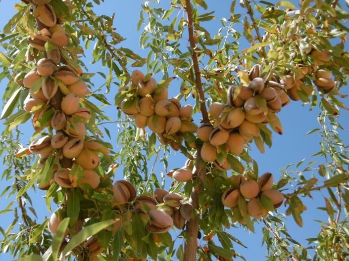 Image No.6-Land for sale