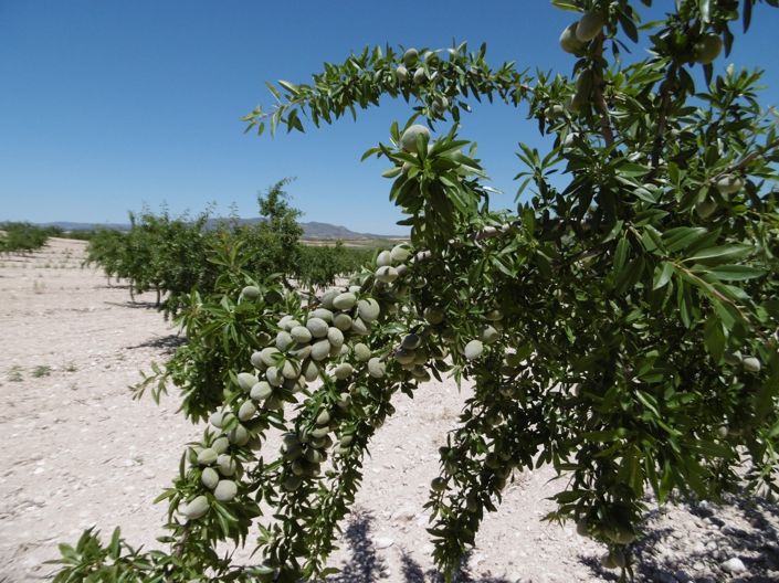 Image No.8-Land for sale