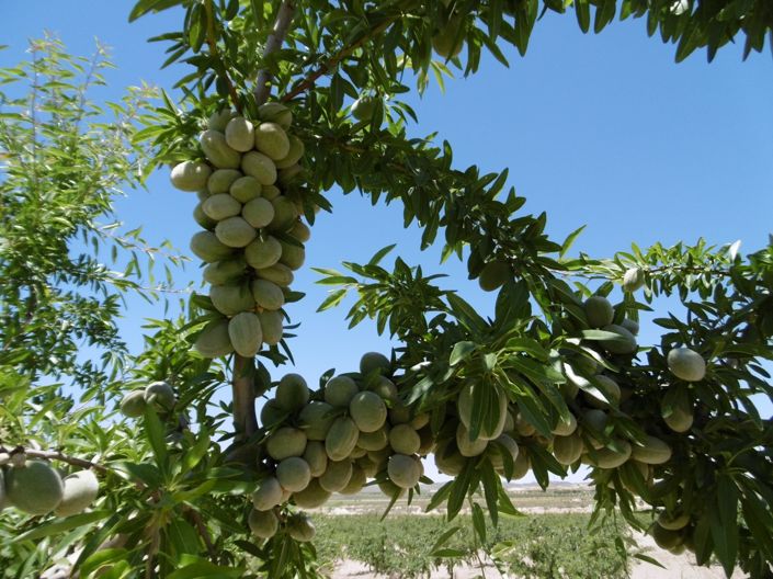 Image No.9-Land for sale