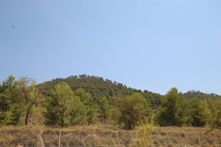 Image No.3-3 Bed Villa for sale