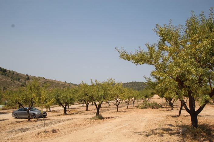 Image No.4-3 Bed Villa for sale