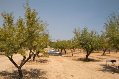 d6853cef5951206853cef59516e