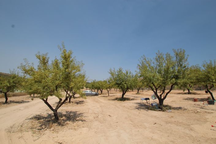 Image No.7-3 Bed Villa for sale