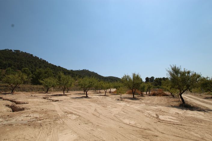 Image No.31-3 Bed Villa for sale