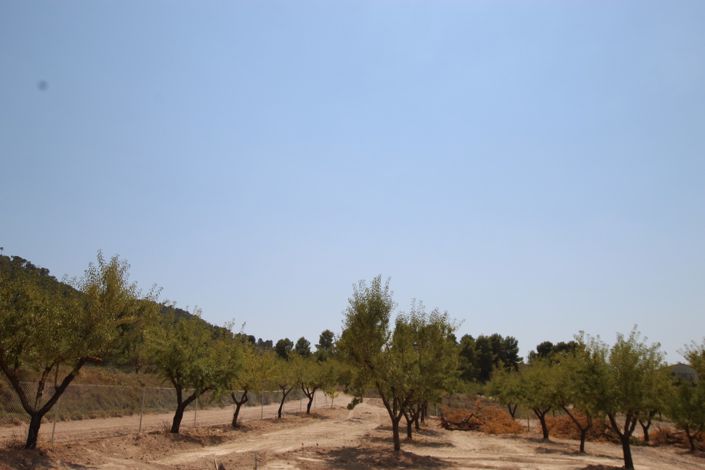 Image No.33-Villa de 3 chambres à vendre à Pinoso