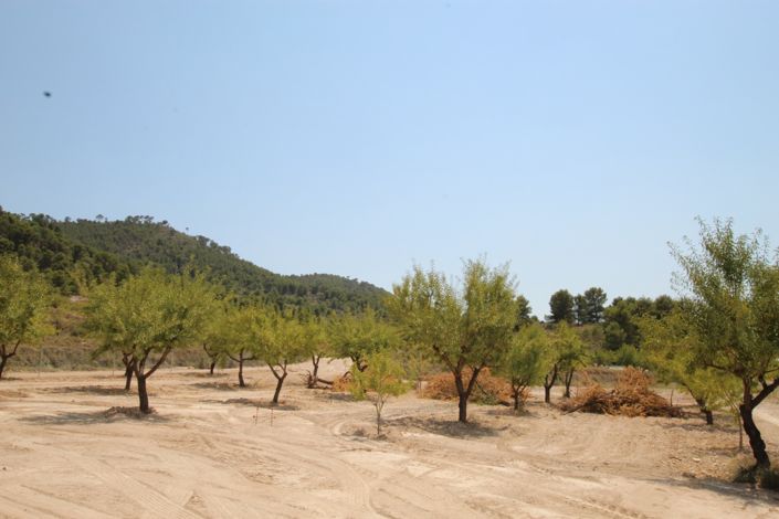 Image No.34-3 Bed Villa for sale