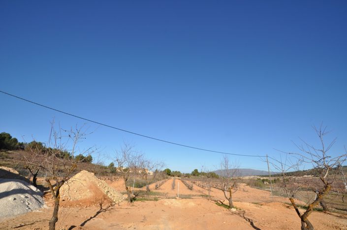 Image No.41-Villa de 3 chambres à vendre à Pinoso