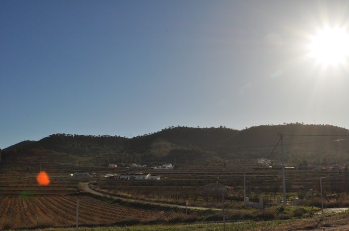 Image No.46-Villa de 3 chambres à vendre à Pinoso