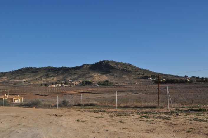 Image No.50-Villa de 3 chambres à vendre à Pinoso