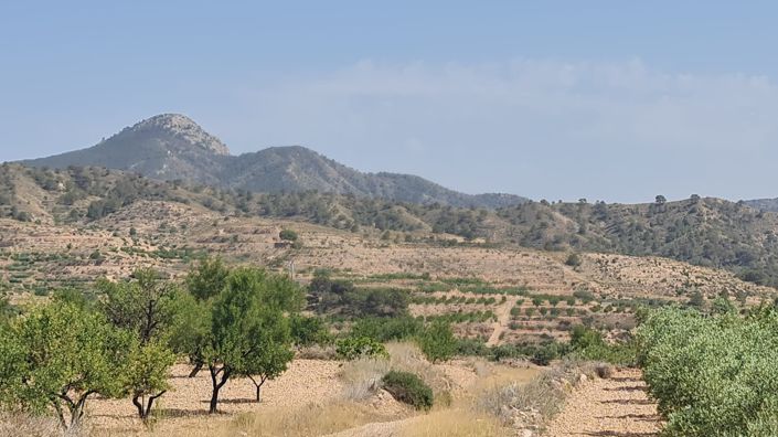Image No.1-Land for sale