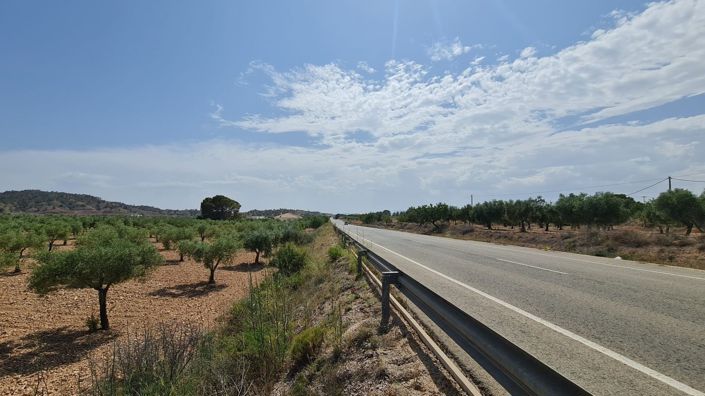 Image No.2-Terre à vendre