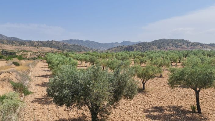 Image No.3-Land for sale