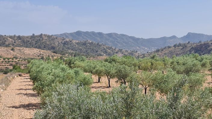 Image No.4-Land for sale