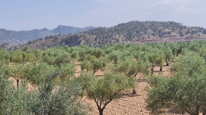 Image No.5-Land for sale