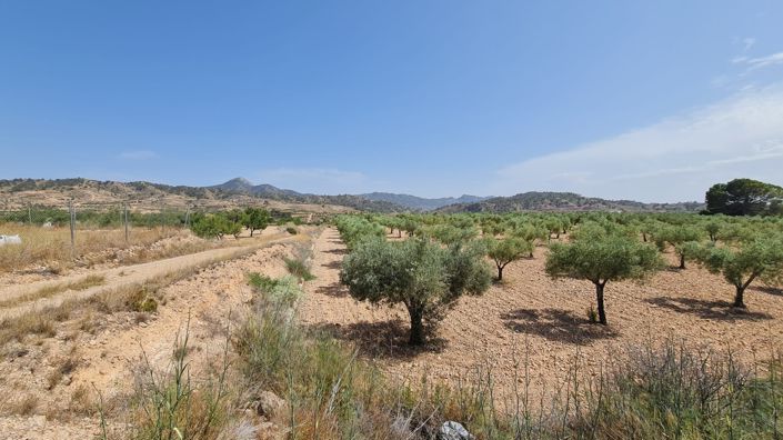 Image No.7-Land for sale