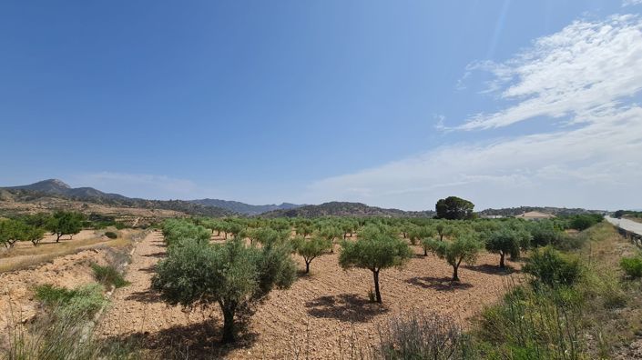 Image No.8-Land for sale