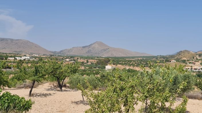 Image No.1-Land for sale