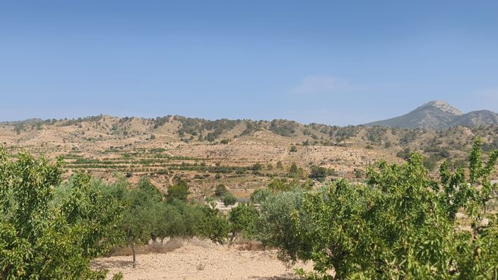 Image No.1-Land for sale