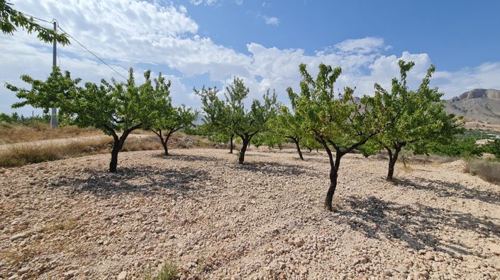 Image No.10-Land for sale